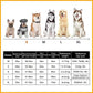 ?Christmas Hot Sale? Super Absorbent Pet Bathrobe-6