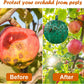 🔥Last Day Promotion - 50% OFF🔥Hanging Environmental Fruit Fly Traps Sticky Traps-BUY 1 GET 1 FREE
